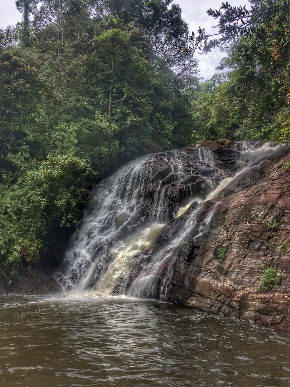 Eco Villa - Sinharaja Deniyaya Esterno foto