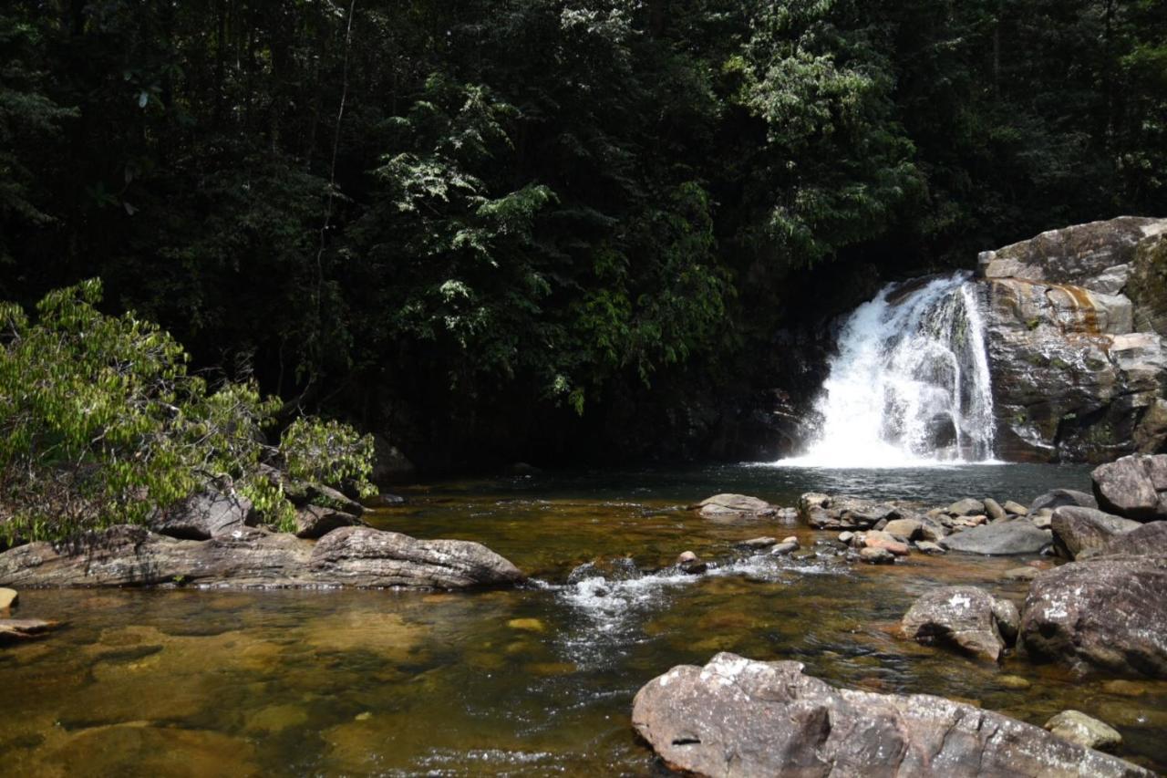 Eco Villa - Sinharaja Deniyaya Esterno foto